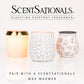Scentsationals Wax Melts, Wax Cubes Strong Scent - Fine Fragrance Collection 2 Hello Gorgeous - 10oz (PACK OF 4)