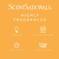 Scentsationals Wax Melts, Wax Cubes Strong Scent - Honeysuckle Nectar - Long Lasting Scented Melts for Warmer, 10oz (Pack of 4)