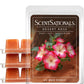 Scentsationals Wax Melts, Wax Cubes Strong Scent – Getaway Collection Desert Rose – Long Lasting Scented Melts for Warmer - 10oz (Pack of 4)