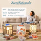 Scentsationals Accent Wax Warmer - Scented Wax Cube Melter - Electric Fragrance Plugin - (Lillian)