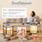 Scentsationals Wax Melt Warmer, Edison Collection Anchorage - Candle Wax Melter for Fragrance Cubes and Tarts