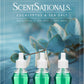 Scentsationals Fragrance Oil Plug in Air Freshener Refills 3-Pack - Eucalyptus & Sea Salt - Works w/ Scentsationals Wall Plugs - Packaging May Vary