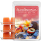 ScentSationals Tropical Escape Scented Wax Melts - Peach, Bergamot, & Pineapple - 10oz (PACK OF 4)