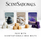 Scentsationals Wax Melt Warmer - Midnight Glitter - Fragrance Warmer for Cubes and Tarts