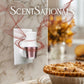 ScentSationals Warm Apple Pie Fragrance Oil Plug In Air Freshener Refills 3-Pack - Works w/ Scentsationals Wall Plugs - Packaging May Vary