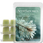 Scentsationals Wax Melts Strong Scent - Vanilla Pine - Long Lasting Scented Wax Cubes for Warmers, 10oz (Pack of 4)