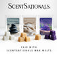 Scentsationals Wax Warmer - Tevan - Fragrance Warmer for Cubes and Tarts