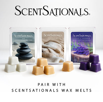 Scentsationals Wax Warmer - Tevan - Fragrance Warmer for Cubes and Tarts