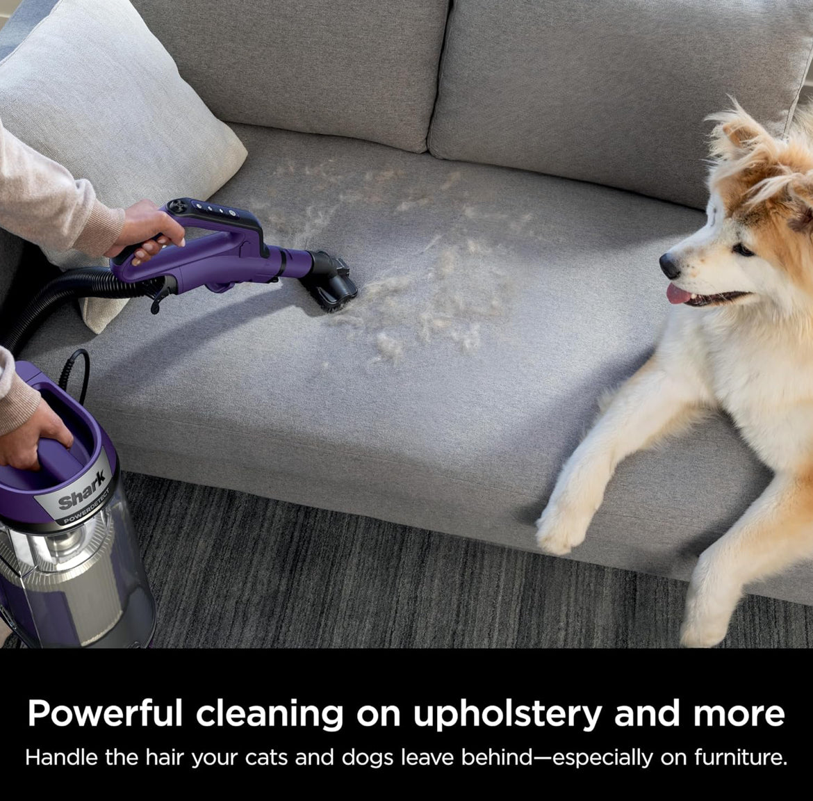 Shark POWER DETECT Upright Vacuum Cleaner with HEPA Filter, Heavy Duty Vacuum - NEW