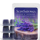 Scentsationals Wax Melts, Wax Cubes Strong Scent - Cedar and Lavender - 10oz (24-Cubes)
