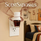 ScentSationals Sugar & Spice Fragrance Oil Plug In Air Freshener Refills 3-Pack - Works w/ Scentsationals Wall Plugs - Packaging May Vary