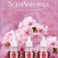 ScentSationals Cherry Blossoms Fragrance Oil Plug In Air Freshener Refills 3-Pack - Works w/ Scentsationals Wall Plugs - Packaging May Vary