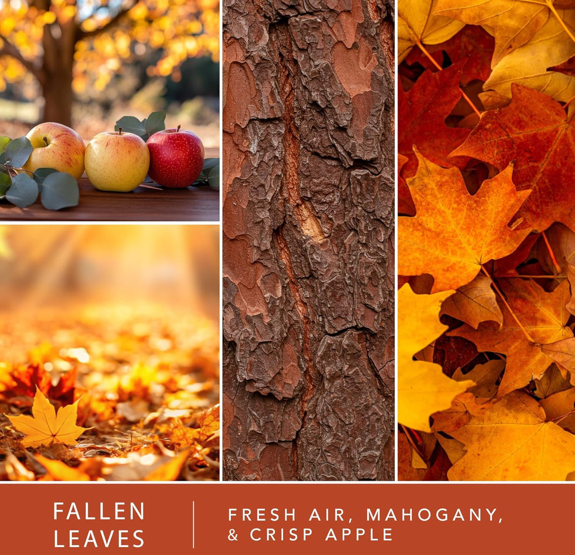 Scentsationals Fall Wax Melts - Includes Warm Apple Pie, Vanilla Pine, Fallen Leaves & Feelin Cozy - 10oz (Pack of 4)