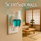 ScentSationals Salt Mist & Agave Fragrance Oil Plug In Air Freshener Refills 3-Pack - Works w/ Scentsationals Wall Plugs - Packaging May Vary