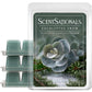 Scentsationals Wax Melts Strong Scent - Eucalyptus Snow - Long Lasting Scented Wax Cubes for Warmers - 10oz (PACK OF 4)