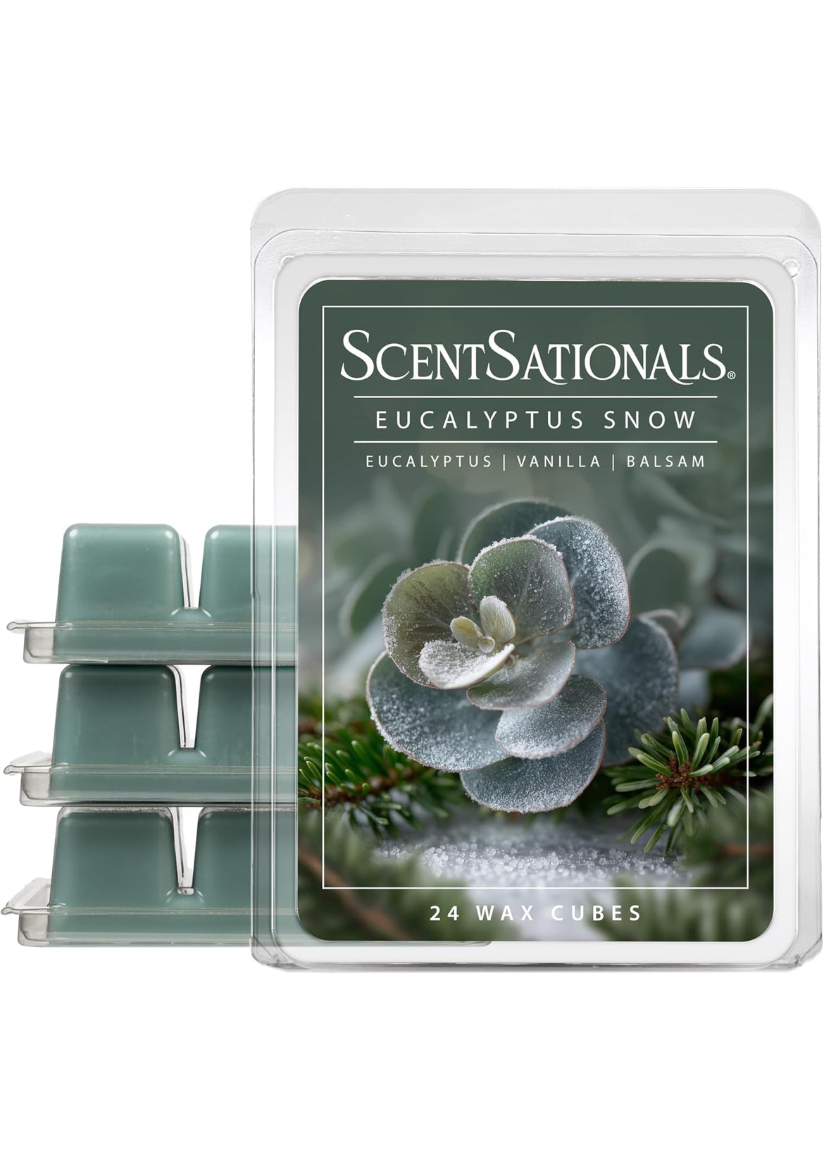 Scentsationals Wax Melts Strong Scent - Eucalyptus Snow - Long Lasting Scented Wax Cubes for Warmers - 10oz (PACK OF 4)
