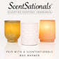 Scentsationals Wax Melts Strong Scent - Woodland Spruce - Long Lasting Scented Wax Cubes for Warmers - 10oz (PACK OF 4)