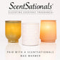 Scentsationals Wax Melts, Wax Cubes Strong Scent - Bakery Collection Sweet Berry Cupcake - Long Lasting Scented Wax Melts for Warmer - 10oz (Pack of 4)