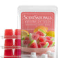 Scentsationals Wax Melts, Wax Cubes Strong Scent - Fruit Collection Watermelon Sugar - Long Lasting Scented Wax Melts for Warmer - 10oz (Pack of 4)