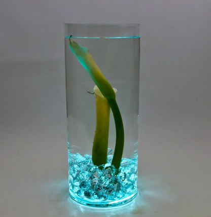 Halloween Lights Submersible LED Lights cr2032 Battery Powered Underwater Waterproof LED Tea Light for Events Wedding Centerpieces Vase Floral Xmas Holidays Home Decor Lighting(Pack of 12) (Teal)