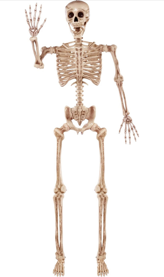 JOYIN 5.6 VT Halloween Verstelbare Lewensgrootte Skelet, Volledige Liggaam Realistiese Bene met Beweegbare Gewrigte, Reuse Skelette Halloween Versierings vir Binne Buiten Spookhuis Rekwisiete, Spookagtige Toneel Partytjie Dekor