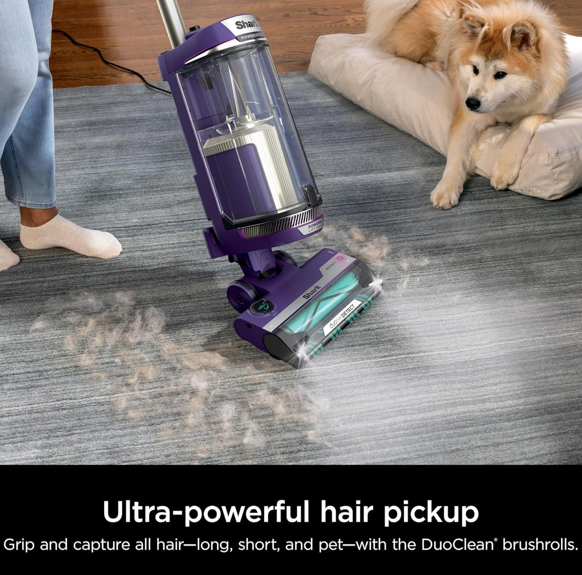 Shark POWER DETECT Upright Vacuum Cleaner with HEPA Filter, Heavy Duty Vacuum - NEW