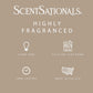 Scentsationals Fall Wax Melts Home Sweet Home - Cinnamon Apples, Salted Caramel Butter Cream & Farmhouse Cookies, 10oz (24 Cubes)