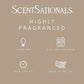 Scentsationals Wax Melts, Wax Cubes Strong Scent - Cuddle Up - Long Lasting Scented for Warmer, 10oz (Pack of 4)