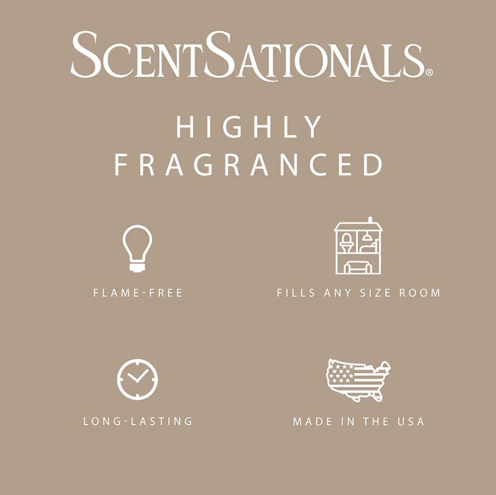 Scentsationals Wax Melts, Wax Cubes Strong Scent - Cuddle Up - Long Lasting Scented for Warmer, 10oz (Pack of 4)