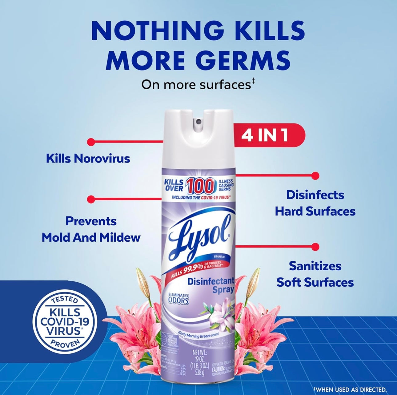 Lysol Ontsmettingssproei, Saniterende en Antibakteriese Sproei, Vir Ontsmetting en Ontgeuring, Vroeë Oggendbries, 19 Fl Oz (Pak van 2), Verpakking Kan Verskil