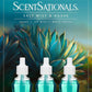 ScentSationals Salt Mist & Agave Fragrance Oil Plug In Air Freshener Refills 3-Pack - Works w/ Scentsationals Wall Plugs - Packaging May Vary