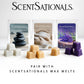 Scentsationals Modern Wax Melt Warmer, for Scented Wax Melts - Trudy - Contemporary Fragrance Warmer for Cubes and Tarts