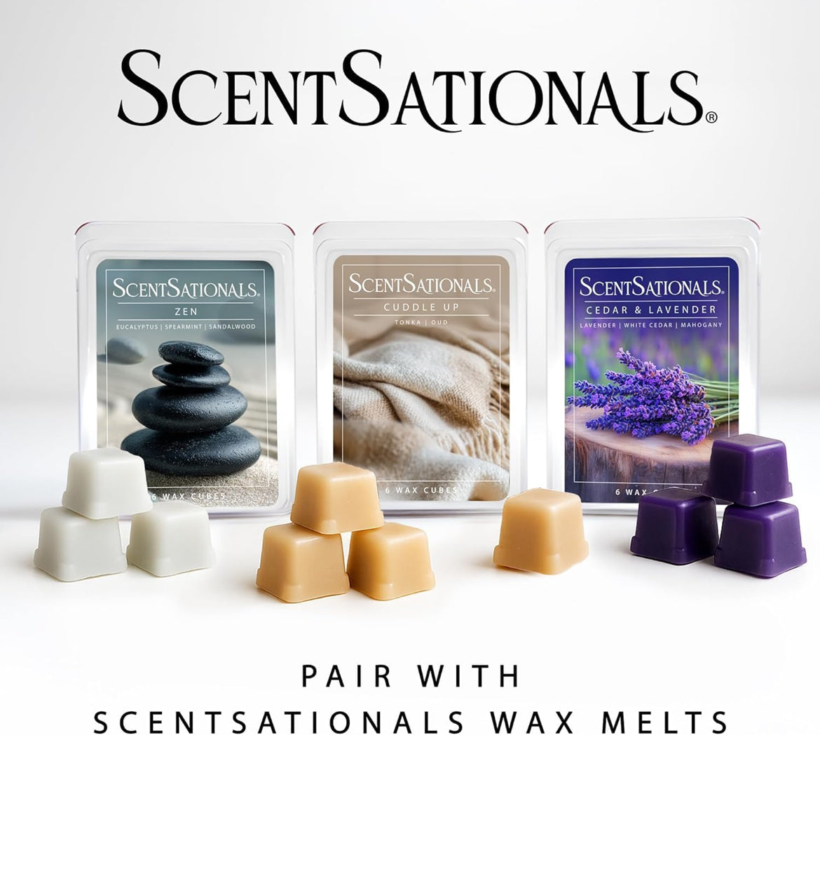 Scentsationals Modern Wax Melt Warmer, for Scented Wax Melts - Trudy - Contemporary Fragrance Warmer for Cubes and Tarts