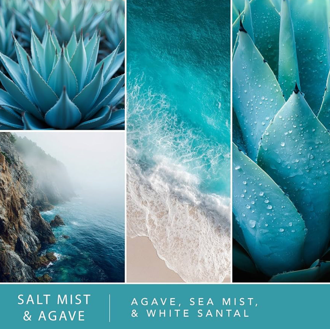 ScentSationals Salt Mist & Agave Fragrance Oil Plug In Air Freshener Refills 3-Pack - Works w/ Scentsationals Wall Plugs - Packaging May Vary