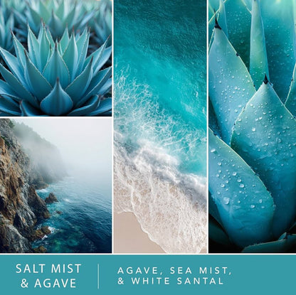 ScentSationals Salt Mist & Agave Fragrance Oil Plug In Air Freshener Refills 3-Pack - Works w/ Scentsationals Wall Plugs - Packaging May Vary