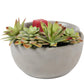 Scentsationals Wax Warmer Boho Collection, Scented Wax Cube Melter, Electric Fragrance and Oil Burner -  (Succulent Bowl)