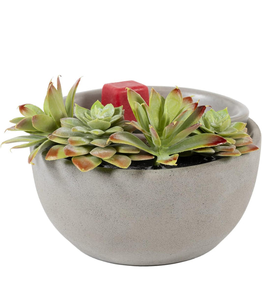 Scentsationals Wax Warmer Boho Collection, Scented Wax Cube Melter, Electric Fragrance and Oil Burner -  (Succulent Bowl)