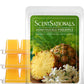 Scentsationals Wax Melts, Wax Cubes Strong Scent - Honeysuckle Pineapple - Long Lasting Scented Melts for Warmer - 10oz (PACK OF 4)