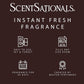 ScentSationals Alchemy Fragrance Oil Plug In Air Freshener Refills 3-Pack - Works w/ Scentsationals Wall Plugs - Packaging May Vary