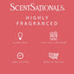 ScentSationals Tropical Escape Scented Wax Melts - Peach, Bergamot, & Pineapple - 10oz (PACK OF 4)
