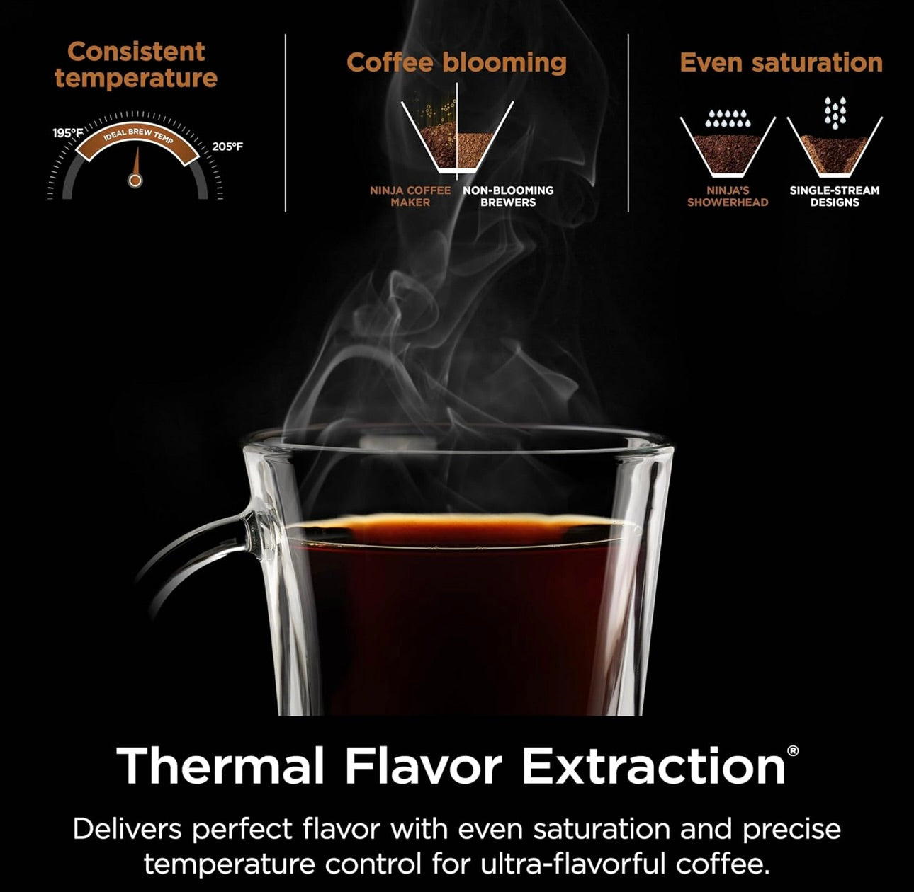 Ninja Hot & Iced XL Coffee Maker with Rapid Cold Brew, 4 Brew Styles - Permanent Filter -Removable Reservoir - Black CM371