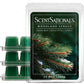 Scentsationals Wax Melts Strong Scent - Woodland Spruce - Long Lasting Scented Wax Cubes for Warmers - 10oz (PACK OF 4)