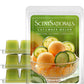 Scentsationals Wax Melts, Wax Cubes Strong Scent - Cucumber Melon - Long Lasting Scented Melts for Warmer, 10 oz (Pack of 4)
