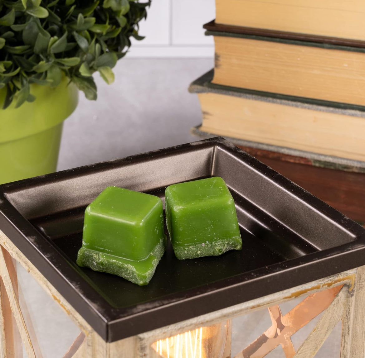 Scentsationals Wax Melt Warmer, Edison Collection Anchorage - Candle Wax Melter for Fragrance Cubes and Tarts