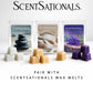 Scentsationals Modern Wax Melt Warmer - Isabelle - Contemporary Fragrance Warmer for Cubes and Tarts