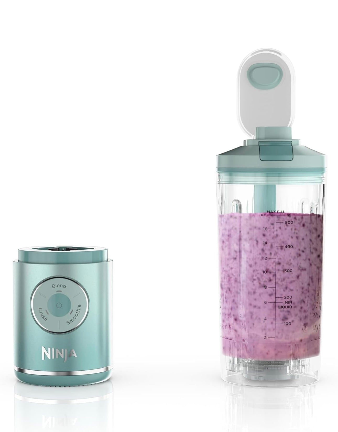 Ninja Blast Max, Portable Blender + Twist & Go, Personal Smoothie, Blend, Ice Crush, 3 Programs, Cordless, 22oz - SEA GLASS, BC251MT