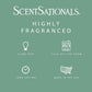 Scentsationals Wax Melts Strong Scent - Vanilla Pine - Long Lasting Scented Wax Cubes for Warmers, 10oz (Pack of 4)
