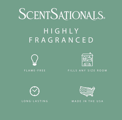 Scentsationals Wax Melts Strong Scent - Vanilla Pine - Long Lasting Scented Wax Cubes for Warmers, 10oz (Pack of 4)