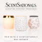 Scentsationals Wax Melts, Wax Cubes Strong Scent - Cedar and Lavender - 10oz (24-Cubes)