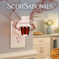 ScentSationals Cinnamon Buns Fragrance Oil Plug In Air Freshener Refills 3-Pack - Works w/ Scentsationals Wall Plugs - Packaging May Vary